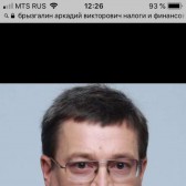 Аркадий Брызгалин